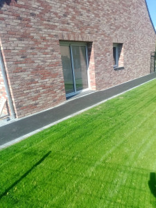 Photo de galerie - Engazonnement et pose de bordure