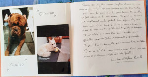 Photo de galerie - Garde chien