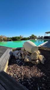 Photo de galerie - Entretien piscine