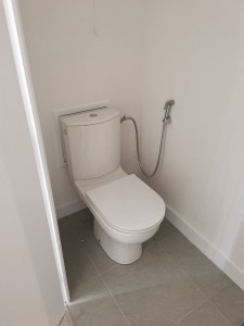 Photo de galerie - Pose toilette + douchette