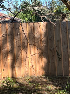 Photo de galerie - Clôture Grillage