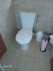 Photo de galerie - Remplacement de wc