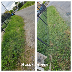 Photo de galerie - Avant après debrousaillage 