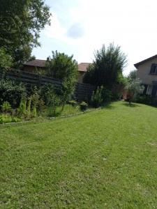 Photo de galerie - Tendre la pelouse , aménagement du jardin. 