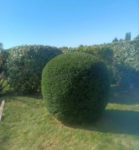 Photo de galerie - Jardinier