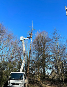 Photo de galerie - Intervention avec camion nacelle 
