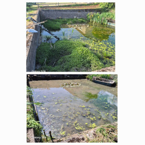 Photo de galerie - Paysagiste - Aménagement du jardin