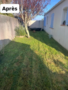 Photo de galerie - Tonte+finition