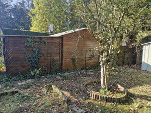 Photo de galerie - Elagage et coupe d'arbres