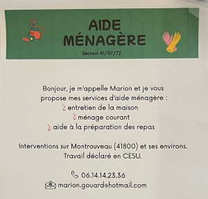 Photo de galerie - Aide ménagère secteur 41/37/72