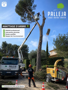 Photo de galerie - Palleja – Élagage, Abattage & Espaces Verts  Votre spécialiste des travaux d’élagage, d’abattage et d’entretien des espaces verts autour de Montargis.
