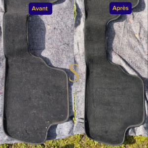 Photo de galerie - Nettoyage de tapis de voiture avec poils de chiens 