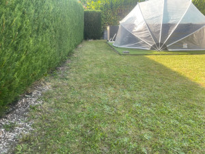 Photo de galerie - Taille de haies et d'arbustes