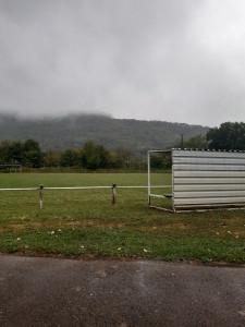 Photo de galerie - Tonte d un terrain en haute saone