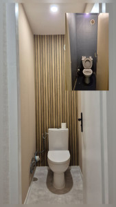 Photo de galerie - Rénovation de WC