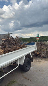 Photo de galerie - Arrachage, plus évacuation souche