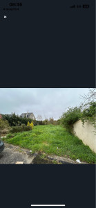 Photo de galerie - Tonte de pelouse - Débroussaillage