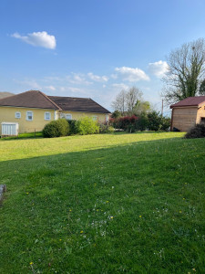 Photo de galerie - Avant tonte 