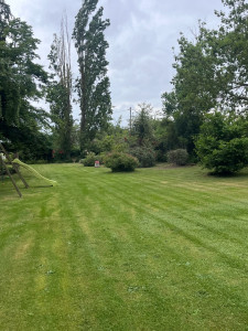 Photo de galerie - Tonte 