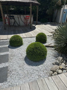 Photo de galerie - Taille en boule.