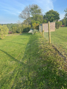 Photo de galerie - Garde chien