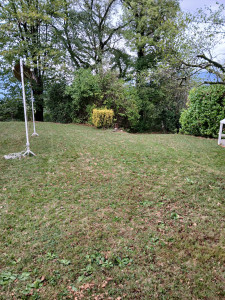 Photo de galerie - Tonte 