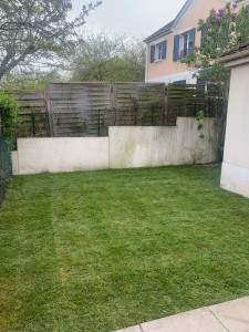 Photo de galerie - Photo finale du gazon en rouleau 