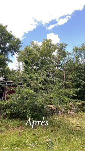 Photo de galerie - Après la coupe en 50 a été fait, le client était vraiment content 