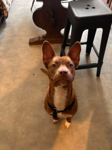 Photo de galerie - Talya?