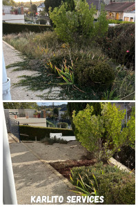 Photo de galerie - Désherbage complet du massif 