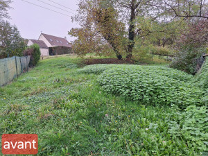 Photo de galerie - Tonte de pelouse - Débroussaillage