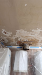Photo de galerie - Plâtrerie - Murs - Plafonds