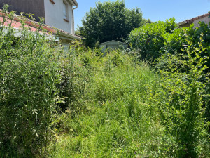 Photo de galerie - Jardinier