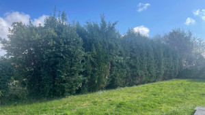 Photo de galerie - AVANT