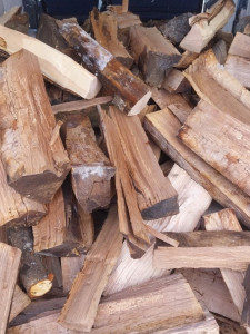Photo de galerie - Bois / Bois de chauffage / Bastaing