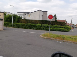 Photo de galerie - Taille de haies et d'arbustes