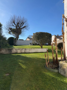 Photo de galerie - Entretien de jardin ,tonte ,taille