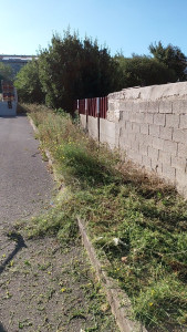 Photo de galerie - Tonte de pelouse - Débroussaillage
