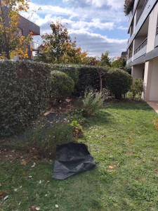 Photo de galerie - Après 