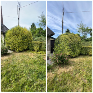 Photo de galerie - Avant / après 