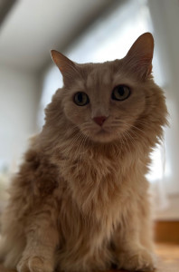 Photo de galerie - Voici la grosse quel nom original :) une boule d'amour.