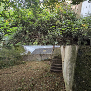 Photo de galerie - Débroussaillage 