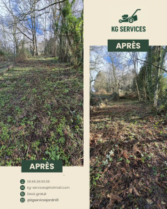 Photo de galerie - Débroussaillage d'un terrain 