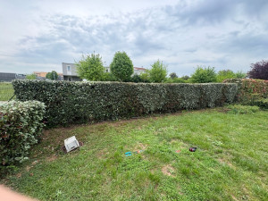 Photo de galerie - Taille