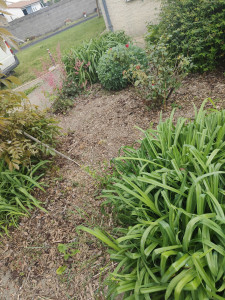 Photo de galerie - Entretien parterre de fleurs 
