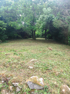 Photo de galerie - 1300 M3 de très haute herbe 
