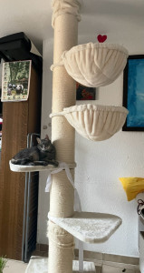 Photo de galerie - Bébou