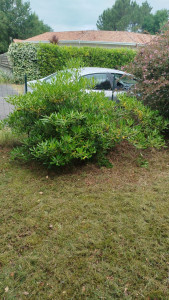 Photo de galerie - Avant 