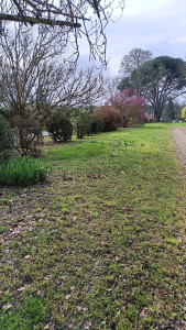Photo de galerie - à votre service pour entretien et création espace vert dans parc et jardin n'hésitez pas à me contacter pour tout renseignement intervention rapide merci.