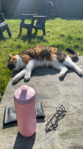 Photo de galerie - On profite du soleil !